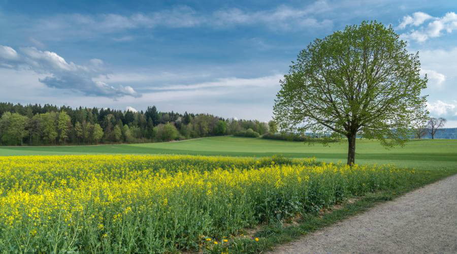 Top autoverhuur aanbiedingen in Opfikon